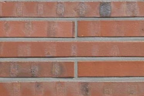 ABC Klinkergruppe 2004 Brandenburg rot-bunt — клінкерна цегла Німеччина